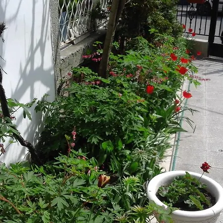 Kraybrezhna 3 Πανσιόν 4*
