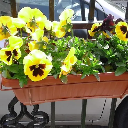 Kraybrezhna 3 Gasthuis Pomorie