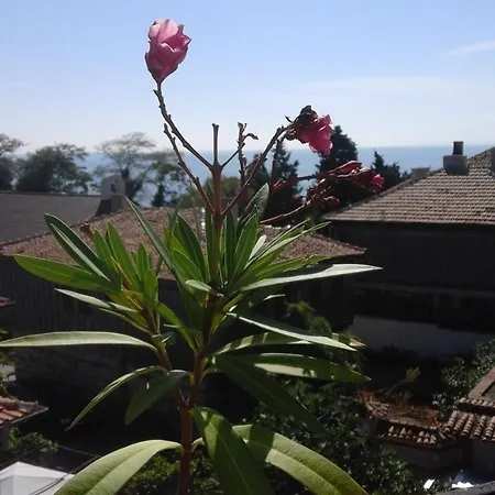 Gasthuis Kraybrezhna 3 4*