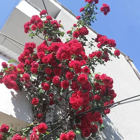 Kraybrezhna 3 Gasthuis Pomorie