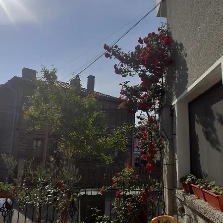 Kraybrezhna 3 Gasthuis