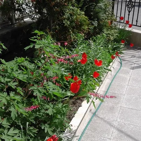 Kraybrezhna 3 بيت ضيافة بوموري