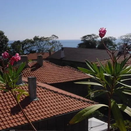 게스트하우스 Kraybrezhna 3 포마리