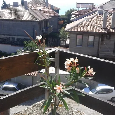 Kraybrezhna 3 포마리