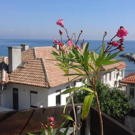 Kraybrezhna 3 게스트하우스 포마리