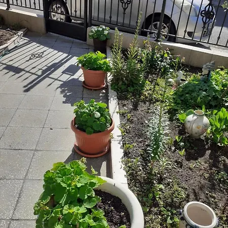 Kraybrezhna 3 게스트하우스 포마리