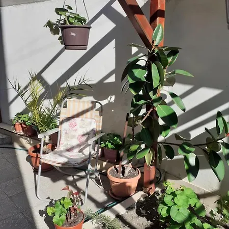 Kraybrezhna 3 게스트하우스 포마리