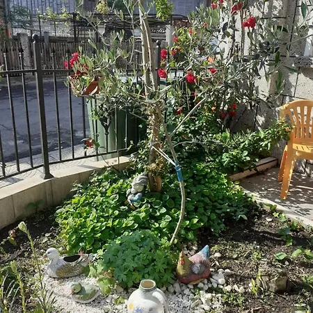 Kraybrezhna 3 게스트하우스 4*